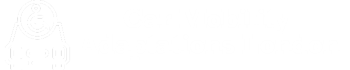Car Mobility Adaptations London